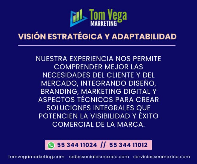 paginas web tijuana